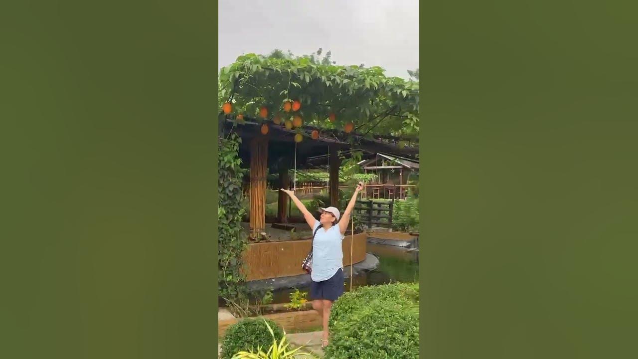 闪连官网-稳定高速加密网络访服务多平台一键连接